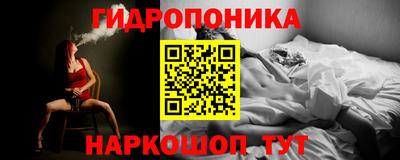 гашик Свободный